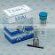 DLLA155P2626 Diesel Pump Injection Nozzle DLLA 155P2626 (0 433 172 626) Fuel Dispenser Automatic Nozzle for 0445110917