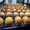 industrial kitchen equipment bread baking ovevn machine