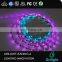 WS2812 WS2812B WS2801 Color changing led christmas lights color changing led rope light lpd8806