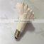 Excellent infrared ceramic heat lamp ceramic heater 220V at flower type