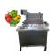 Cucumber Washer Air Bubble Cleaning Equipment Washing Machine for Fruit and Vegetable