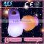 ACS Decorative RGB remote controlled battery operated led light, Mushroom LED Decorative Lighting