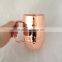 16oz double wall mug, Stainless steel types insulated tumbler. beer mug