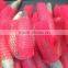 Laizhou Zhentao Colorful Fruit Foam Rubber Mesh Netting