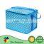 Factory Direct Price Customize Insulated Pop Up Cooler Bag