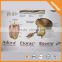 Big sale teaching educational plastic anatomy chart