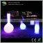 Home/Hotel/coffee shop decoration led Light/LED Ornamental Light