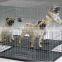 dog kennel cages of high quality