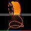outdoor building projection lighting 110V led flexible hose light