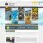 Professional Web Development, Website designer