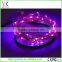 10m 100light waterproof wholesale price led lights string