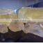 phenolic resin used for paint