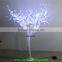 24V color changing Wedding decoration led christmas lighting