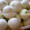 Three belts onion peeling machine/peeling onion machine/onion stripper/onion processing machine