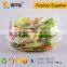 Disposable Plastic Salad box with lid