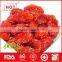 Hot sale dried red cherry tomato from China