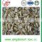 New crop 2016 Chinese factory blanched peanut kernel