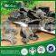 best price black fungus frozen black fungus