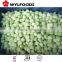Frozen melon ball green/yellow from china new crop