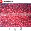 IQF price of frozen cranberry 2015 best price