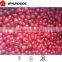 IQF price of frozen cranberry grade A