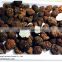 fresh black truffle/fresh desert truffle/ truffles mushroom price