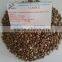 ROBUSTA COFFEE BEANS _ skype: vinaprosales