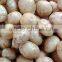 Fresh Potato From Bangladesh