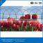 Hot Sales Best Quality Border Garden Mesh Fence2016