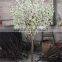 SJ1501011 High quantity white peach tree wedding table tree centerpieces