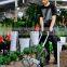 70kgs Folding Wagon