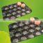 Blue Color Disposable Plastic Fruit Tray