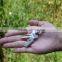 2016 New Arrival 8 In 1 Stainless Key Ring Hanging Buckle Multifunctional Tool Outdoor Survive Hot Sale