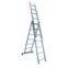 Telescopic Ladder
