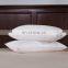 Washable White Feather Pillows, Medium/Firm Support, 100% Cotton Cover, Pack of Two, 48x74cm