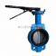 dual clamp butterfly valve