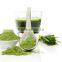 Best Quality Wheat Grass Powder For Sales And Export