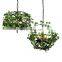 Retro Green Plant Chandelier Iron Bird Cage Hanging Light Metal Candle Pendant Light