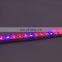 Hydroponics Full Spectrum 24wm 3red one blue Led Bar Rigids Strip Grow Lights