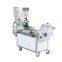 Muti Functional Automatic Vegetable  Carrot Dicer Onion Fruit Cutting Machine Dicing Machine