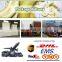 Food industrial plantain chips making machine/banana chips equipment/chips de plantain ligne de production