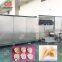 Hot Selling Ice Cream Cones Machine Maker Production Line Automatic