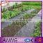 PP PE material agriculture weed control mat