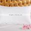 China duck proof fabic/feather pillow