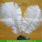 Beautiful Ostrich Large Feather colorfull Wedding Craft Decoration