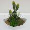 Artificial plants/succulent/cactus wholesale from China