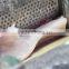 Automatic fish bone removing machine/fish deboner/fish meat and bone seperate