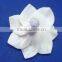 Flower for decoration