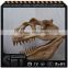 Dinosaur exhibition dinosaur fossil sculpture for sale