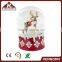 reindeer snow globe for Christmas